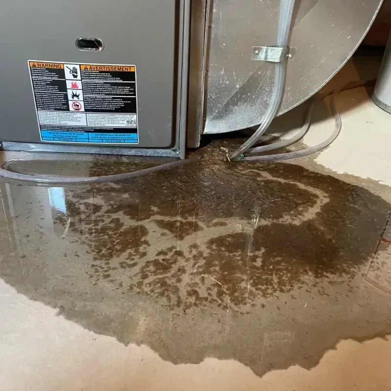 Appliance Leak Cleanup in Nicholson, GA